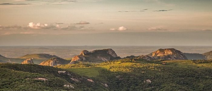 araruna-contemplacao